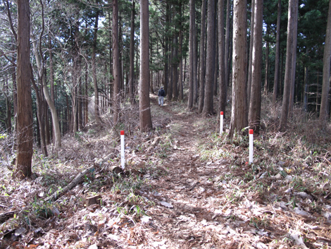 20161229hike (126)